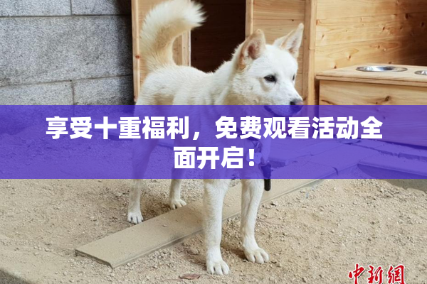 享受十重福利，免费观看活动全面开启！