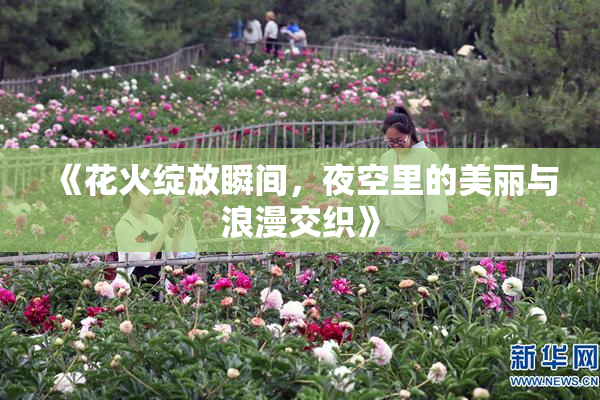 《花火绽放瞬间，夜空里的美丽与浪漫交织》