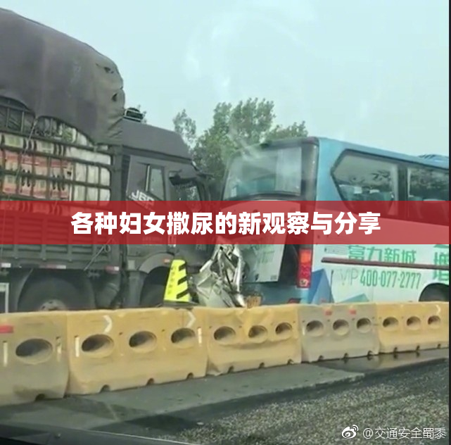各种妇女撒尿的新观察与分享