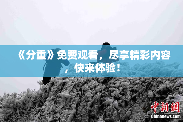 《分重》免费观看，尽享精彩内容，快来体验！