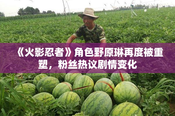 《火影忍者》角色野原琳再度被重塑，粉丝热议剧情变化