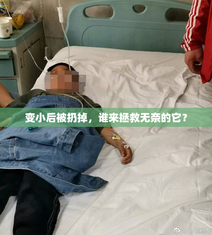 变小后被扔掉，谁来拯救无奈的它？