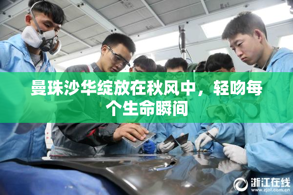 曼珠沙华绽放在秋风中，轻吻每个生命瞬间