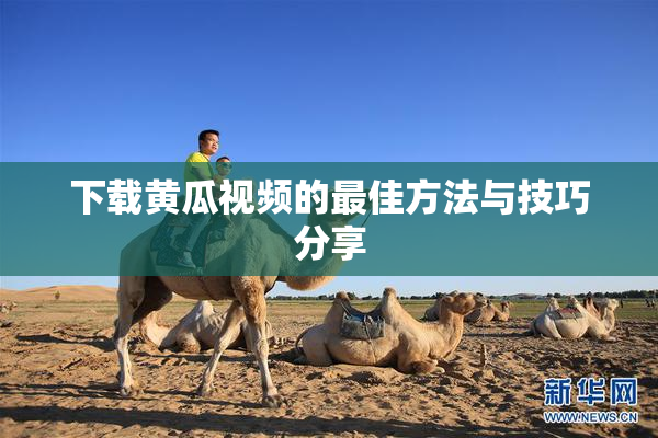 下载黄瓜视频的最佳方法与技巧分享
