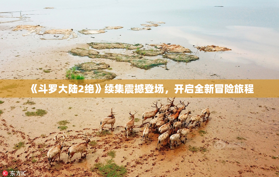 《斗罗大陆2绝》续集震撼登场，开启全新冒险旅程