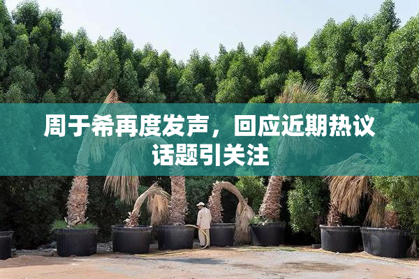 周于希再度发声，回应近期热议话题引关注
