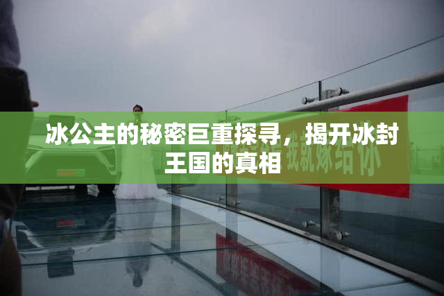 冰公主的秘密巨重探寻，揭开冰封王国的真相
