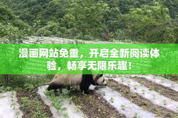 漫画网站免重，开启全新阅读体验，畅享无限乐趣！