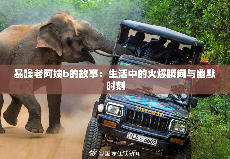 暴躁老阿姨b的故事：生活中的火爆瞬间与幽默时刻