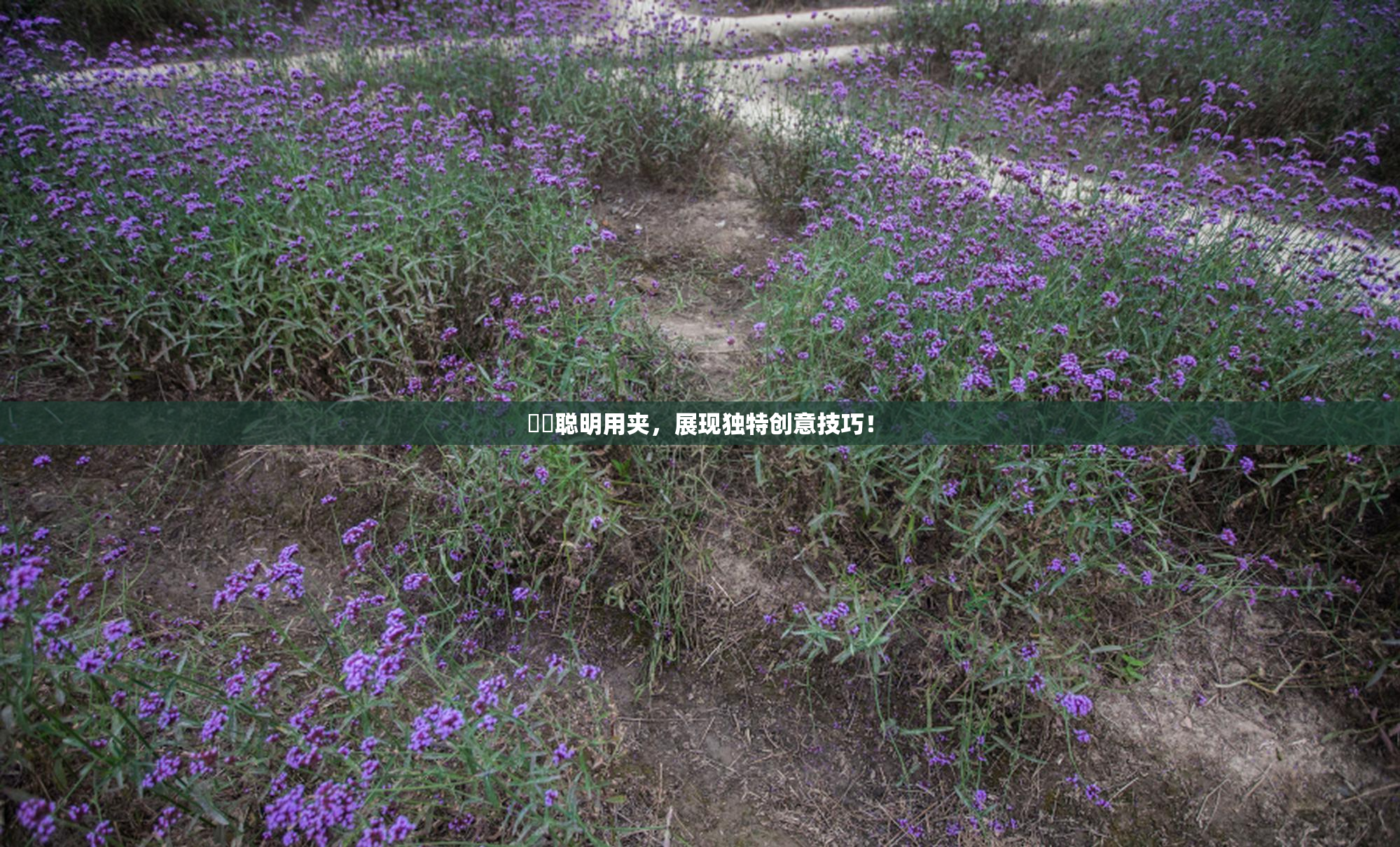 妺妺聪明用夹，展现独特创意技巧！