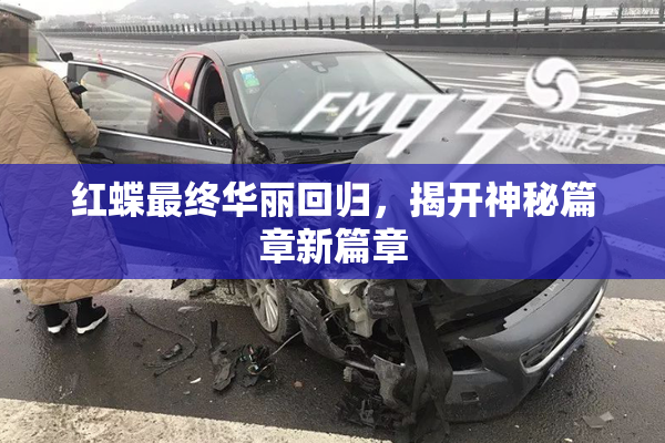 红蝶最终华丽回归，揭开神秘篇章新篇章