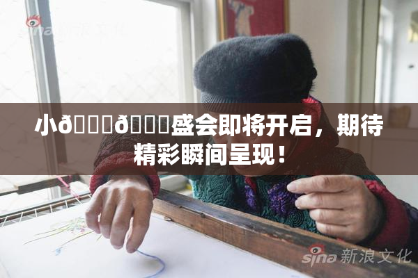 小🐔🐔盛会即将开启，期待精彩瞬间呈现！