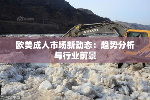 欧美成人市场新动态：趋势分析与行业前景