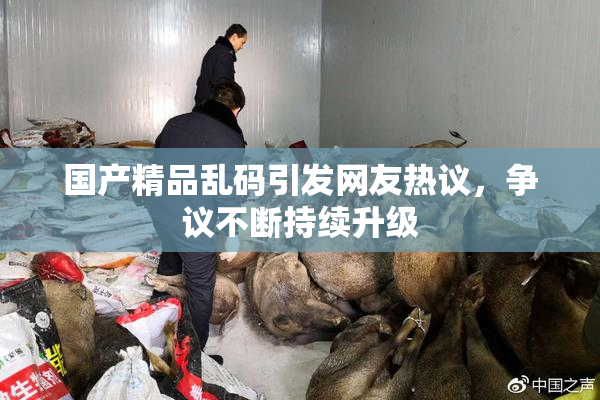 国产精品乱码引发网友热议，争议不断持续升级