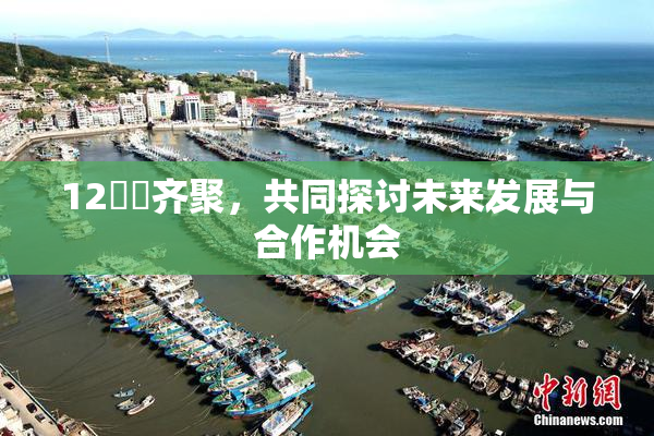 12妺妺齐聚，共同探讨未来发展与合作机会