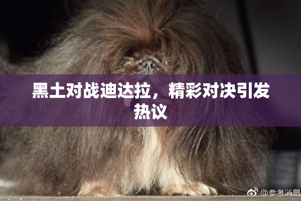 黑土对战迪达拉，精彩对决引发热议