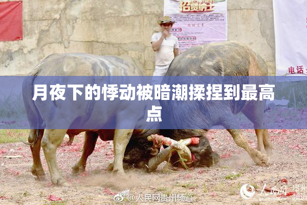 月夜下的悸动被暗潮揉捏到最高点
