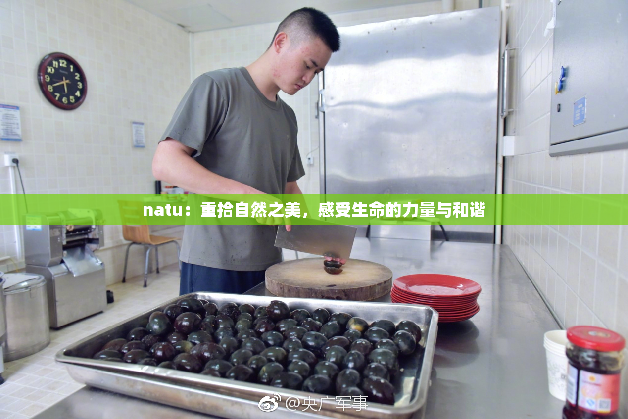 natu：重拾自然之美，感受生命的力量与和谐