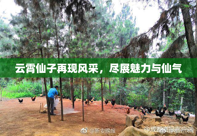 云霄仙子再现风采，尽展魅力与仙气