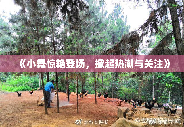 《小舞惊艳登场，掀起热潮与关注》
