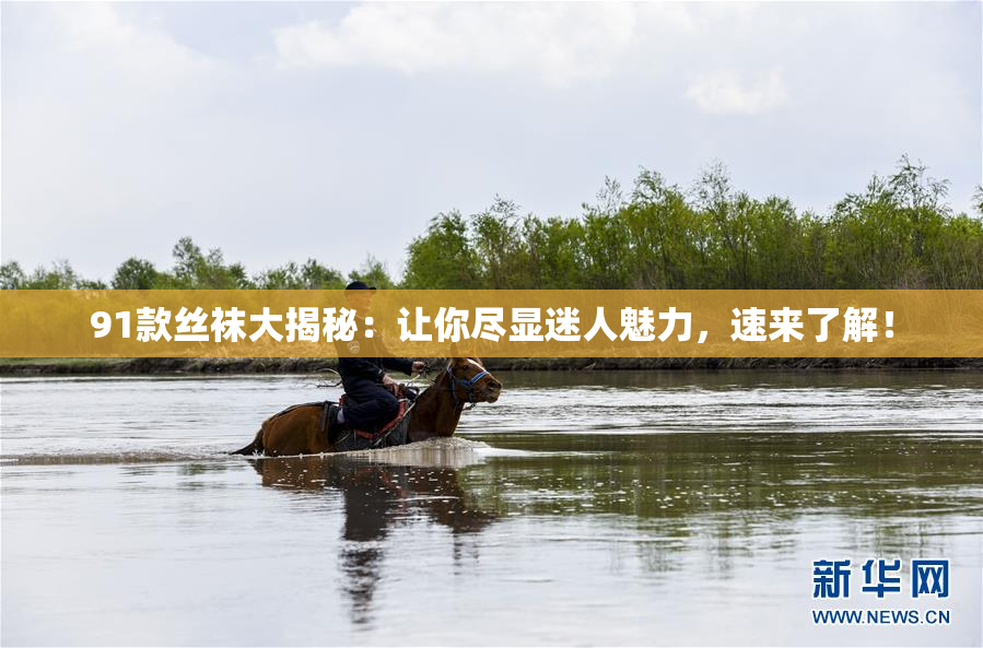 91款丝袜大揭秘：让你尽显迷人魅力，速来了解！
