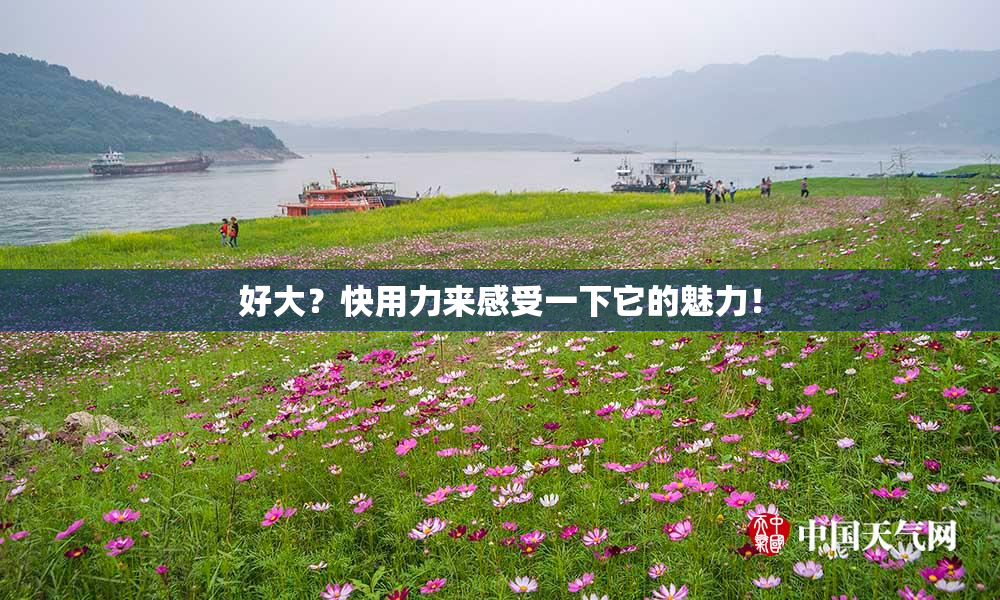 好大？快用力来感受一下它的魅力！