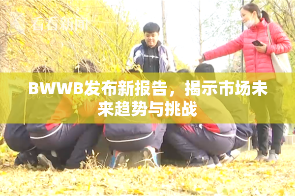 BWWB发布新报告，揭示市场未来趋势与挑战