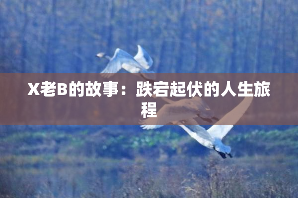 X老B的故事：跌宕起伏的人生旅程