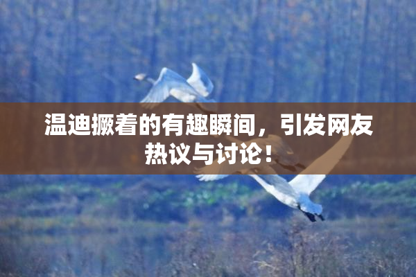 温迪撅着的有趣瞬间，引发网友热议与讨论！