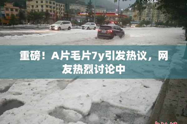 重磅！A片毛片7y引发热议，网友热烈讨论中