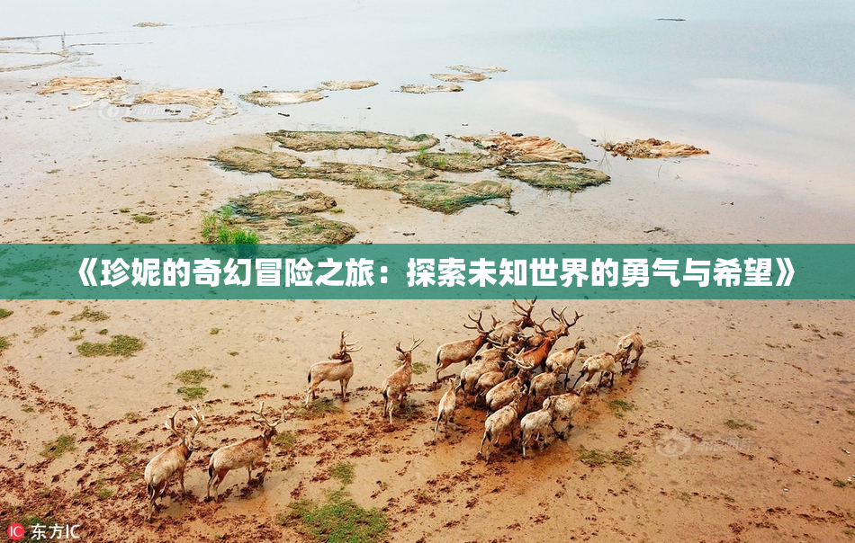 《珍妮的奇幻冒险之旅：探索未知世界的勇气与希望》