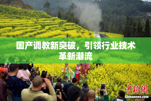 国产调教新突破，引领行业技术革新潮流