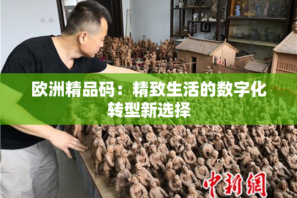 欧洲精品码：精致生活的数字化转型新选择