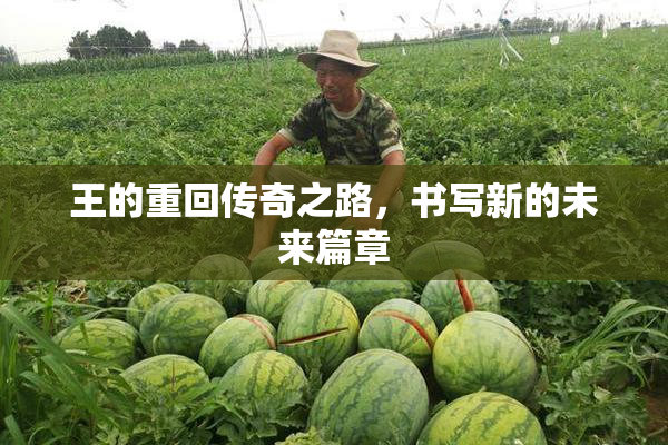 王的重回传奇之路，书写新的未来篇章