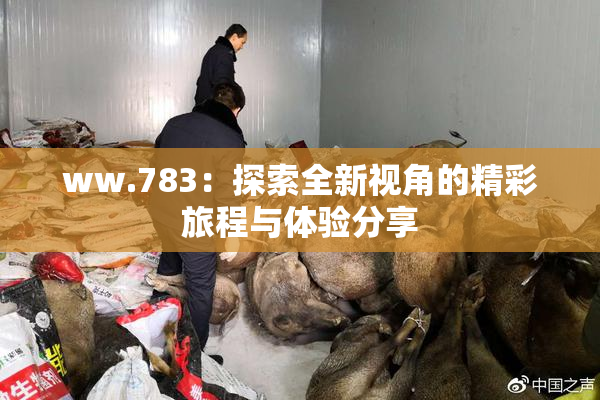 ww.783：探索全新视角的精彩旅程与体验分享