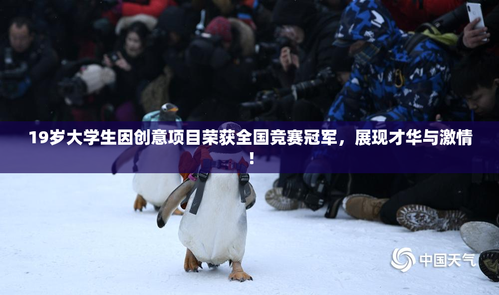 19岁大学生因创意项目荣获全国竞赛冠军，展现才华与激情！