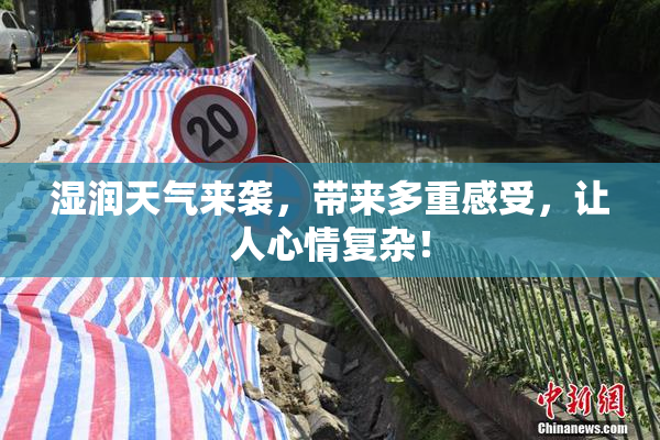 湿润天气来袭，带来多重感受，让人心情复杂！