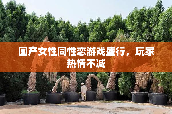 国产女性同性恋游戏盛行，玩家热情不减