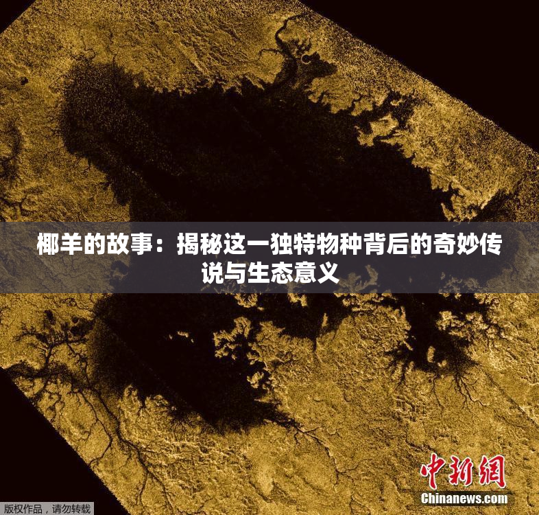 椰羊的故事：揭秘这一独特物种背后的奇妙传说与生态意义