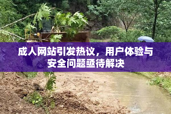 成人网站引发热议，用户体验与安全问题亟待解决