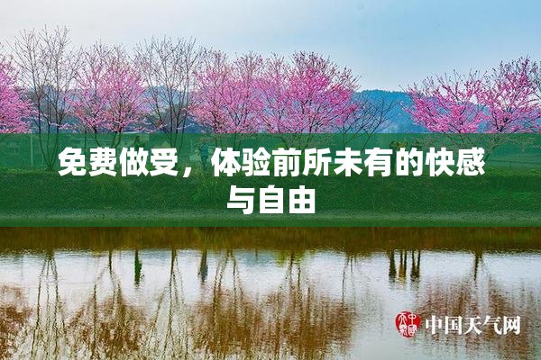 免费做受，体验前所未有的快感与自由