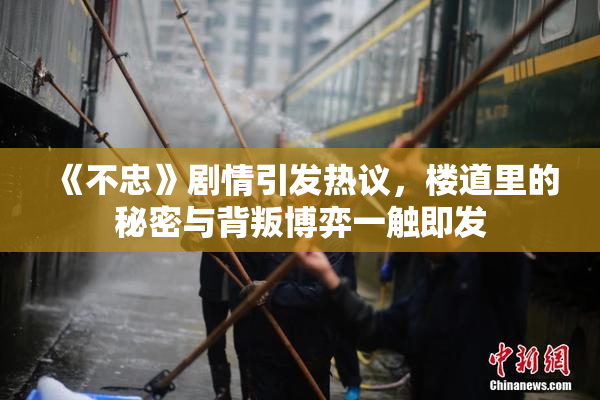 《不忠》剧情引发热议，楼道里的秘密与背叛博弈一触即发