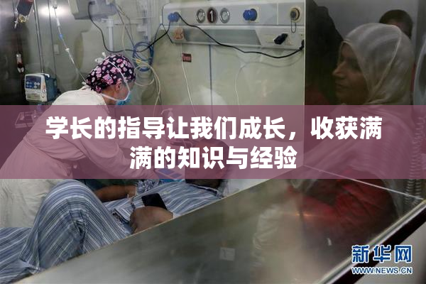学长的指导让我们成长，收获满满的知识与经验