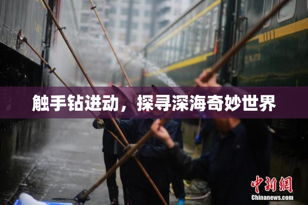 触手钻进动，探寻深海奇妙世界