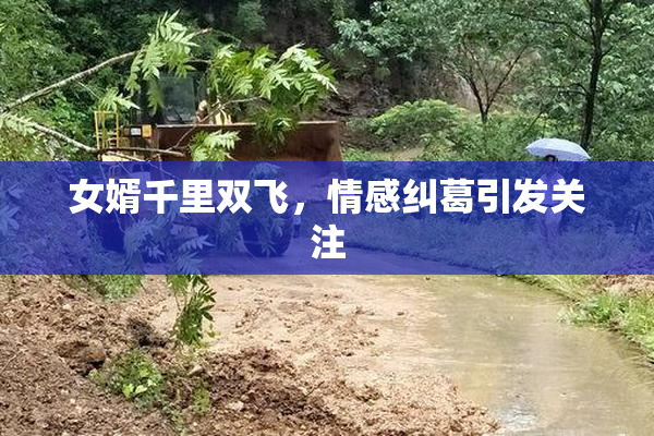 女婿千里双飞，情感纠葛引发关注