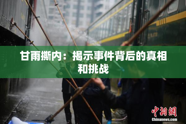 甘雨撕内：揭示事件背后的真相和挑战