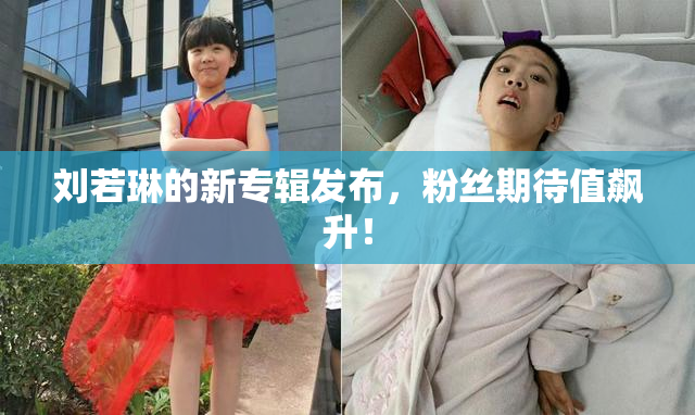 刘若琳的新专辑发布，粉丝期待值飙升！