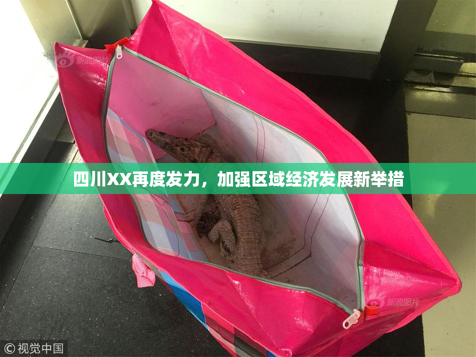 四川XX再度发力，加强区域经济发展新举措