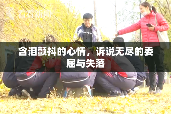 含泪颤抖的心情，诉说无尽的委屈与失落
