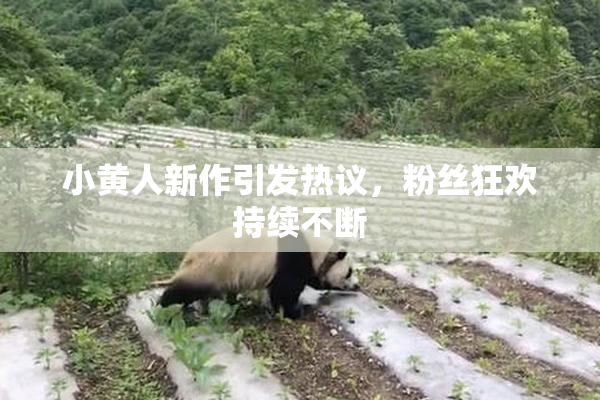 小黄人新作引发热议，粉丝狂欢持续不断